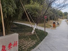 -桐乡植物园
