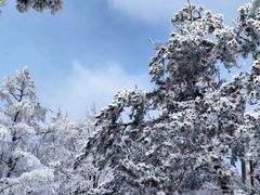 -崂山巨峰游览区
