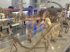 -国家自然博物馆