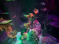 -沈阳海洋探索中心