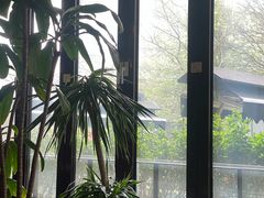 -the rug 飞毯 (朝阳公园店)