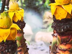 -南通洲际绿博园