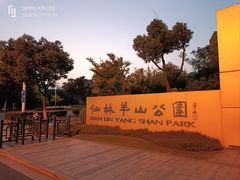 -羊山湖公园