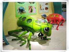 -上海昆虫博物馆