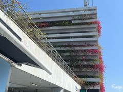 -一嗨租车(凤凰机场店)