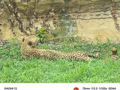 -杭州野生动物世界