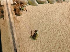 -哈尔滨极地公园