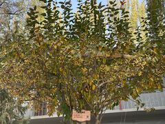 -张掖大佛寺景区