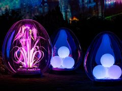 -上海外滩英迪格酒店