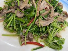 -独流饭店(静海区国土资源分局西)
