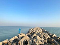 -东疆建设开发纪念公园