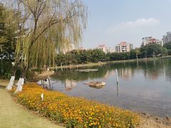 -映月湖公园