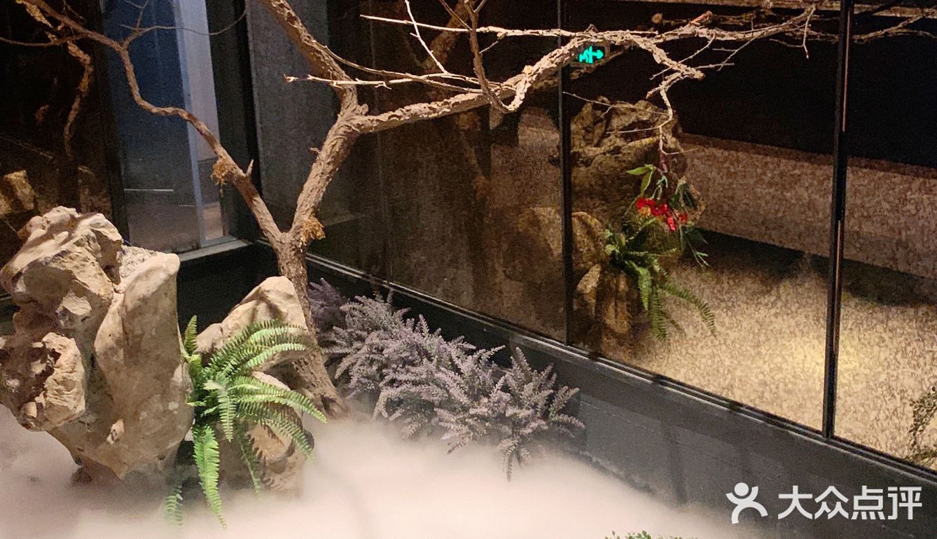 太原探店｜中国风🇨🇳杏花堂