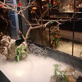 太原探店｜中国风🇨🇳杏花堂