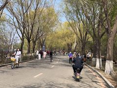 -丁香湖公园