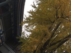 -国家图书馆·古籍馆