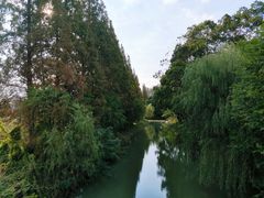 -同里国家湿地公园