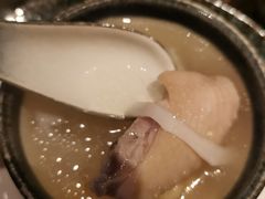 椰子鸡-同仁四季椰子鸡(海岸城天利店)