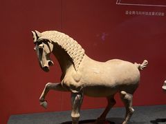 -陕西历史博物馆