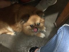 -阿姨小肉摊(同济西苑店)