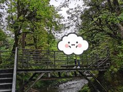 -龙苍沟森林公园