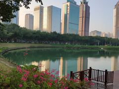 -万绿园
