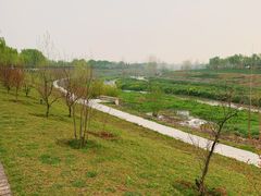 -洨河生态公园