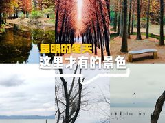 -捞渔河湿地公园