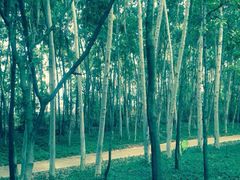 iphone_upload_pic-狐尾山公园