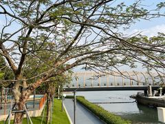 -深圳湾公园(南山区)