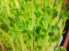 -捞神汤物料理(正大广场店)