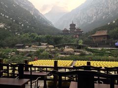 -禅宗少林·音乐大典