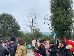 -枫香湖儿童公园