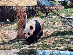 -济南野生动物世界