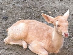 -水上乐园·欢乐世界