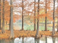 -白塘生态植物园