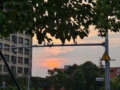 -两河城市森林公园