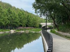 -白水寺森林公园