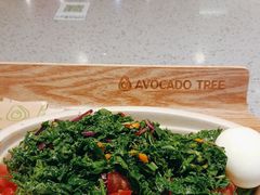 -油梨树AVOCADO TREE(嘉里中心店)
