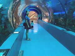 -乐从天佑城海洋馆