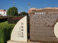 -特克斯八卦城