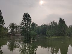 -桤木河湿地公园