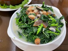 上汤苋菜-腰记饭店(龙源路店)