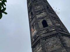 -上海佘山国家森林公园天马山园