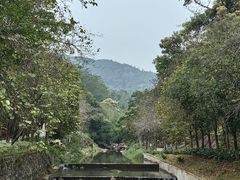 -广州白江湖森林公园