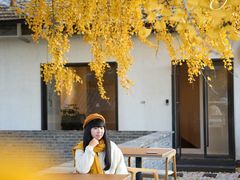 -自如ZSPACE四合院艺术餐厅