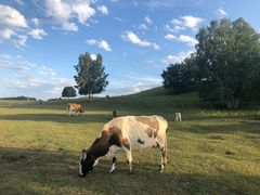 -塞罕坝国家级自然保护区