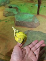 -酷嗒动物文化乐园(cutezoo西溪乐天城店)