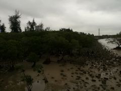 -宝安西湾红树林湿地公园