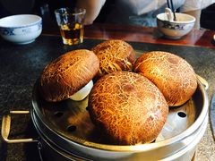 -先机®·泉水鸡汤(七星岗店)